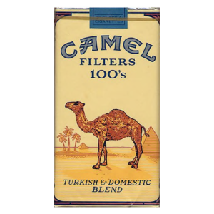 Camel Filter Box 100's (Single/20 Pack)