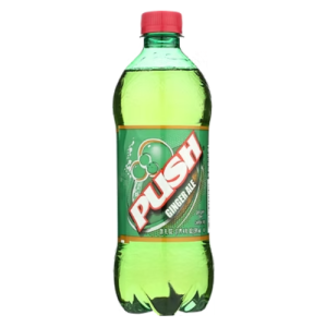 Push Ginger Ale (Single/20 oz)