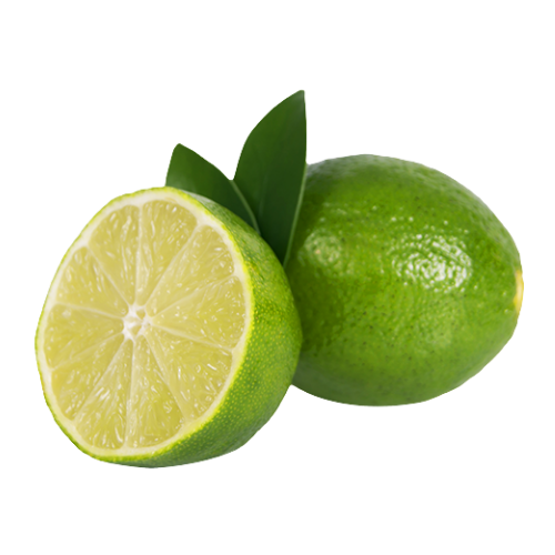 Lime (Single/3 pack)