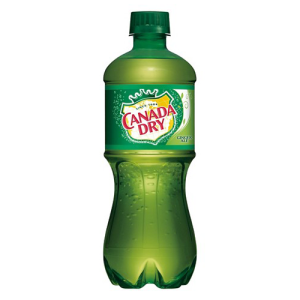 Canada Dry Ginger Ale (Single/20 oz Bottle)